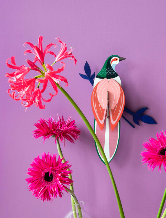 Paradise Bird - Rani