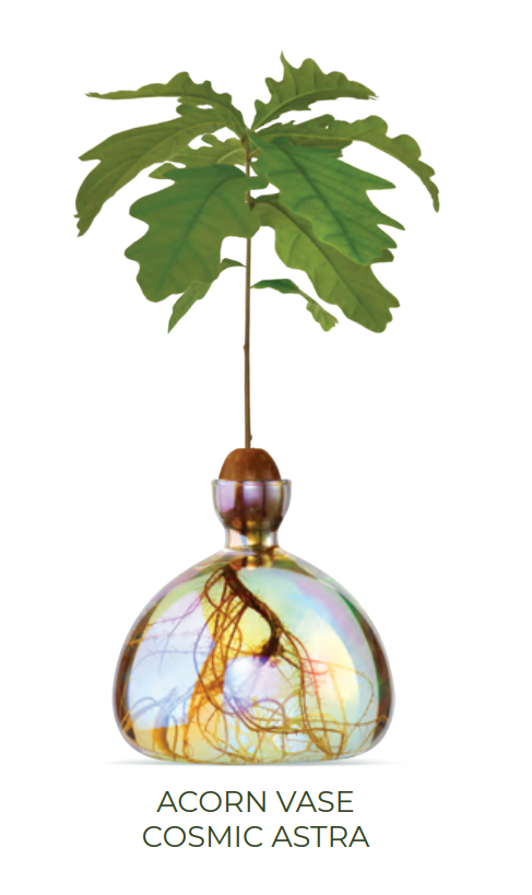 Acorn Vase - Cosmic Astra