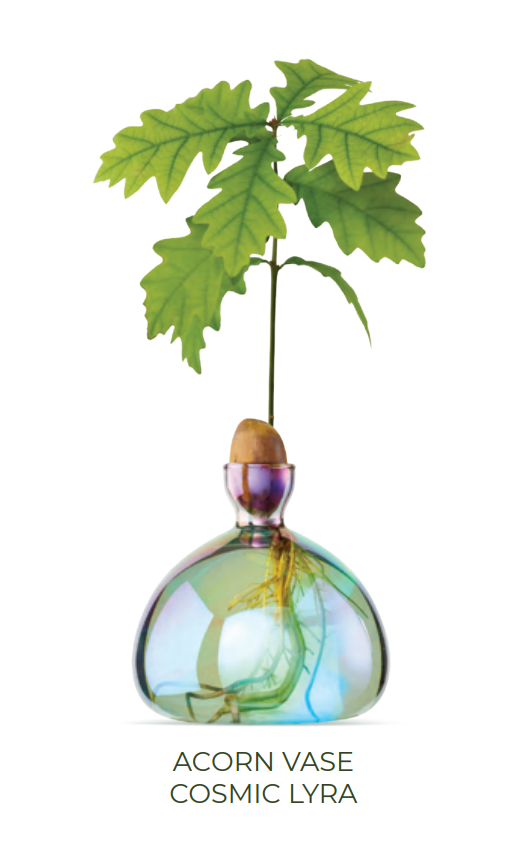 Acorn Vase - Cosmic Lyra