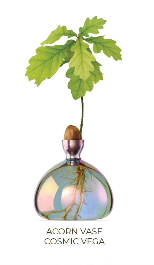 Acorn Vase - Cosmic Vega