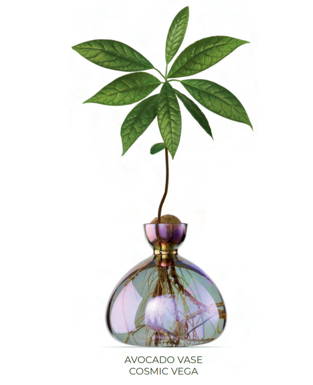 NEW - Avocado Vase - Cosmic Vega (image not to scale)