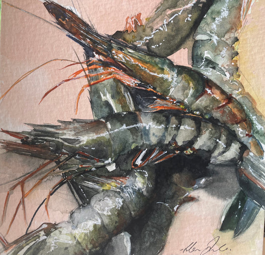 Raw Prawns