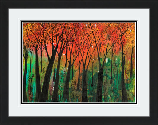 Magic in the Woods
