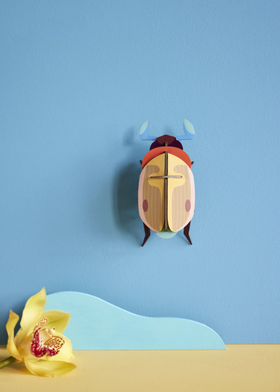 Lemon Fruit Beetle