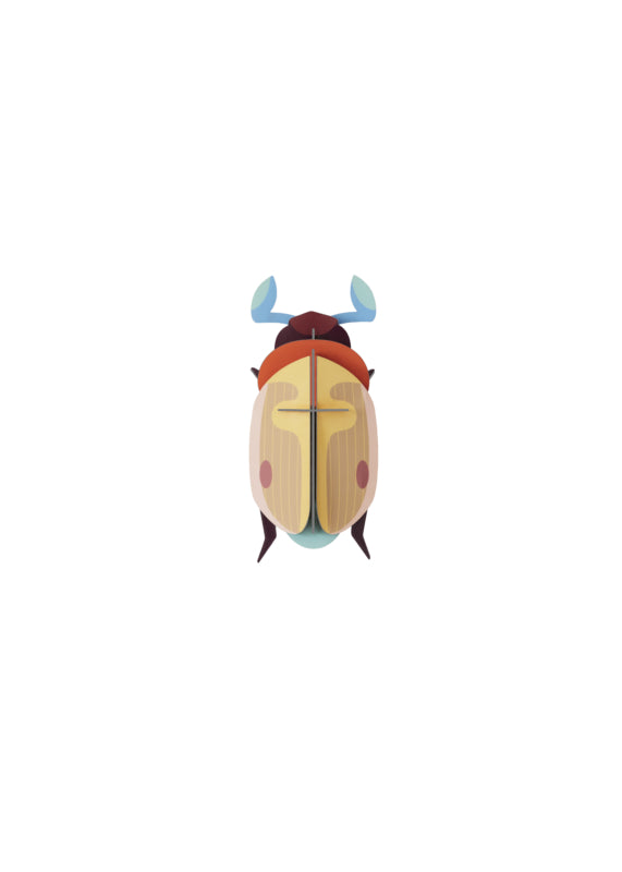 Lemon Fruit Beetle