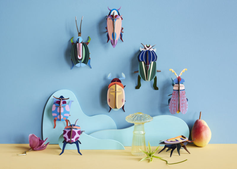 Lemon Fruit Beetle