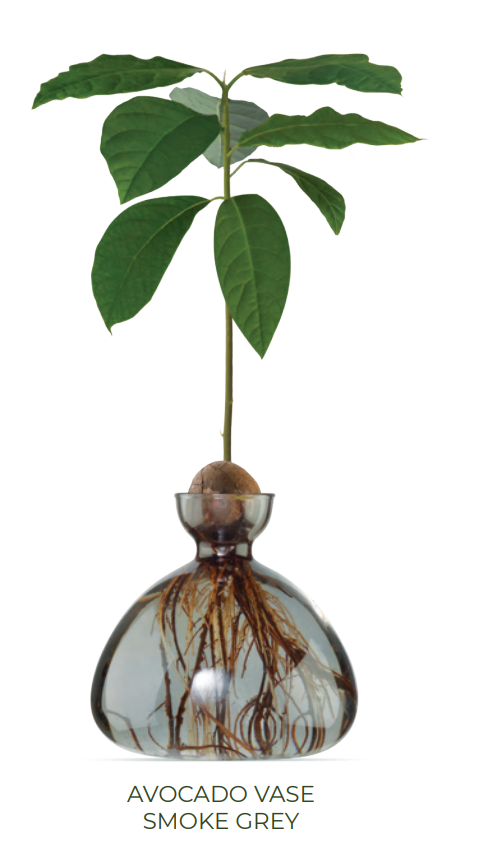 Avocado Vase - Smoke Grey