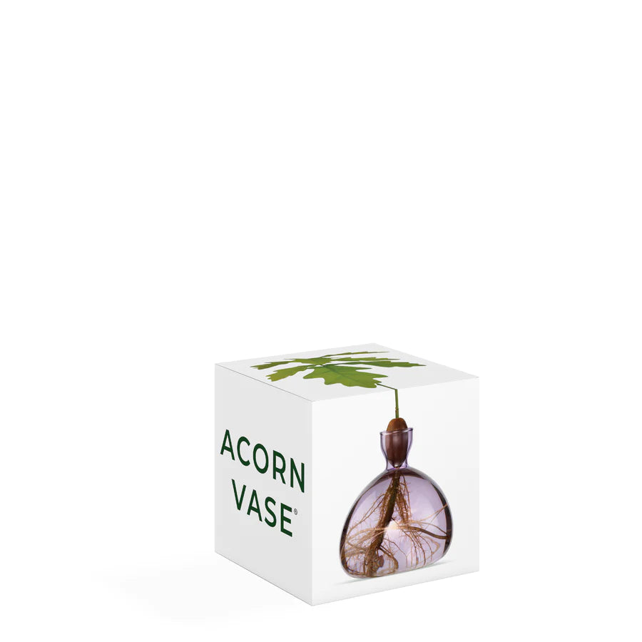 Acorn Vase - Spring Lilac