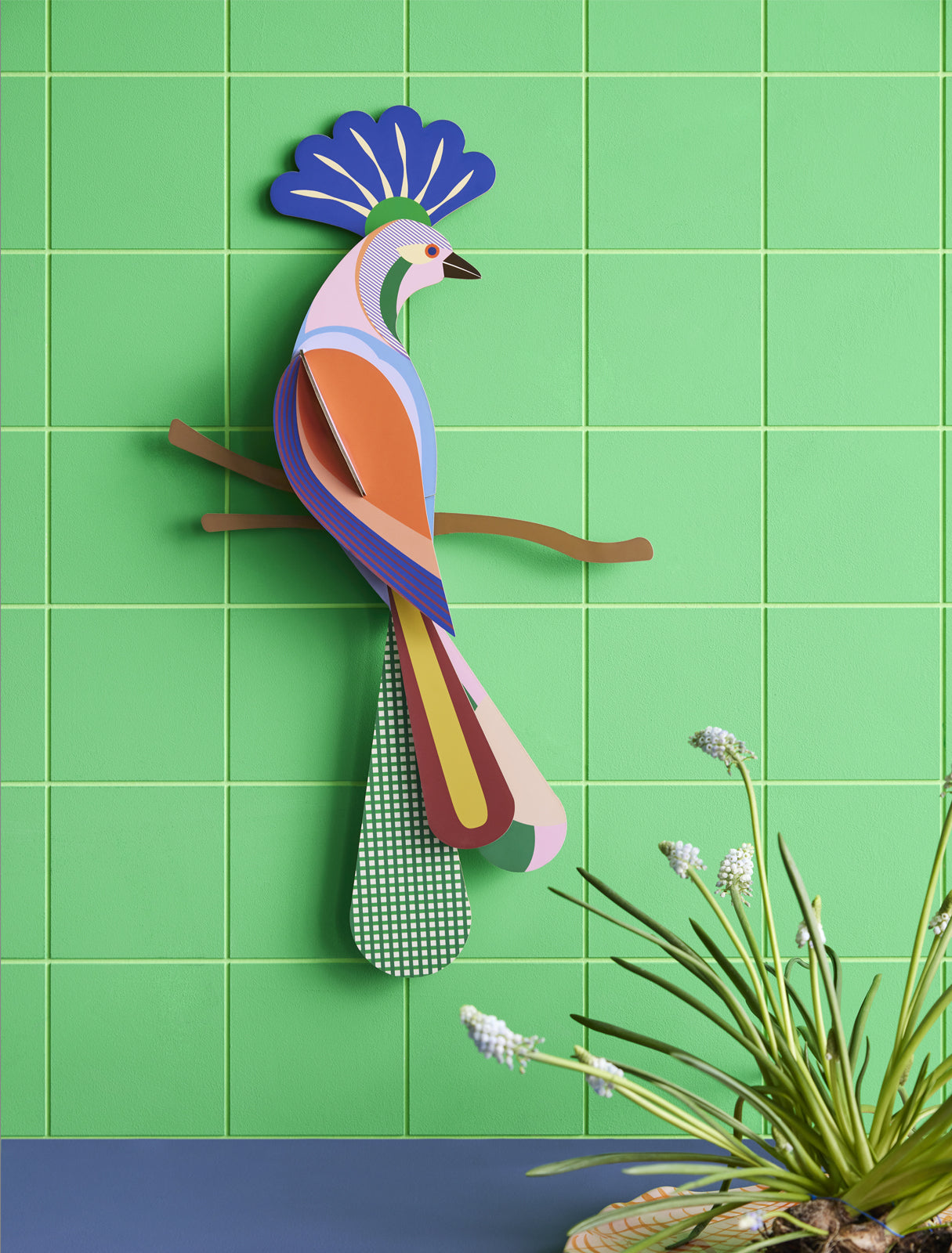 Paradise Bird - Tinjil