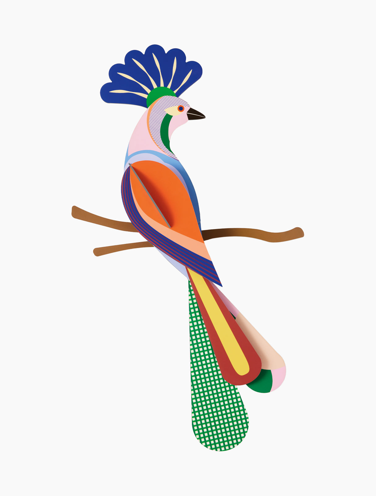 Paradise Bird - Tinjil