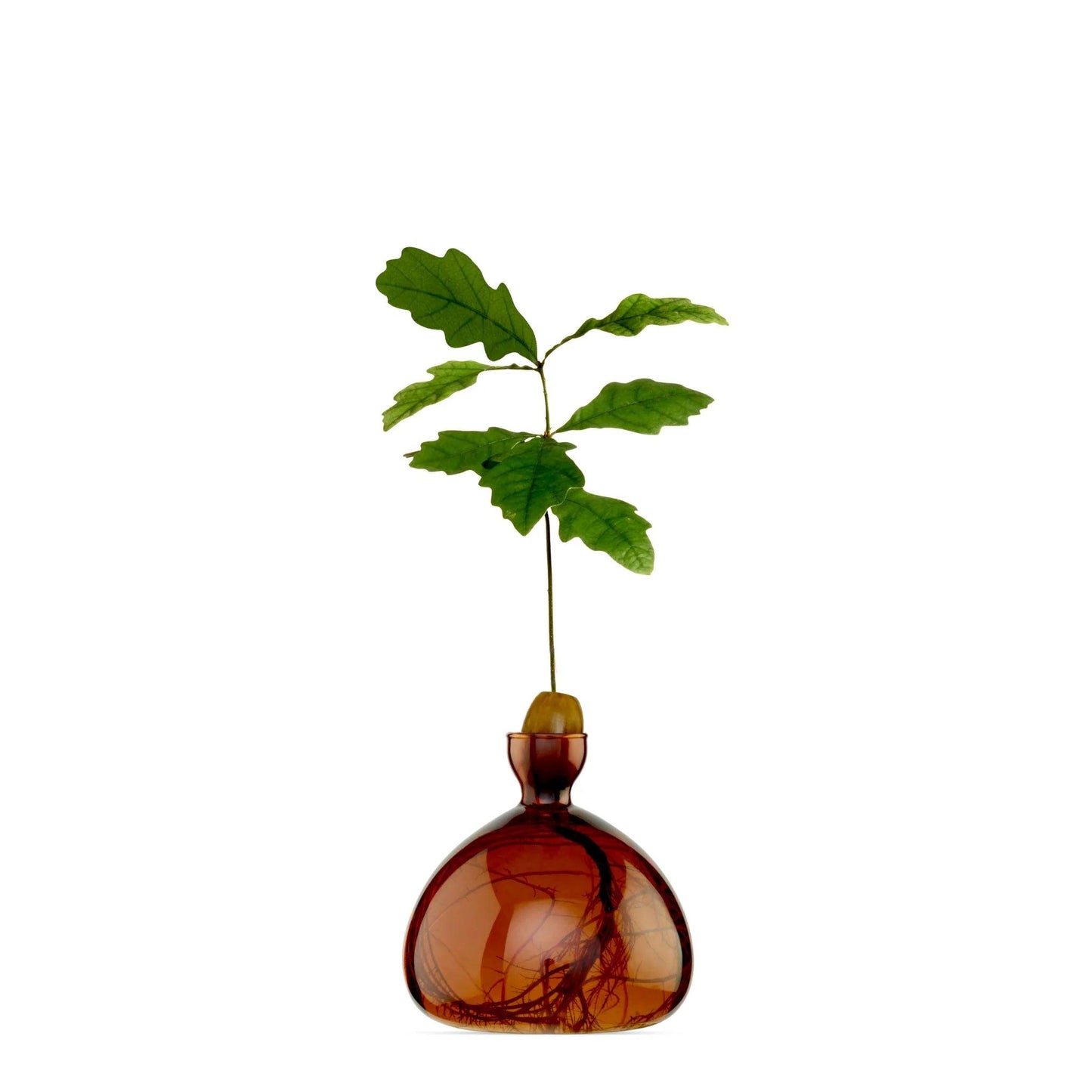 Acorn Vase - Russet Brown - Gigglewick Gallery