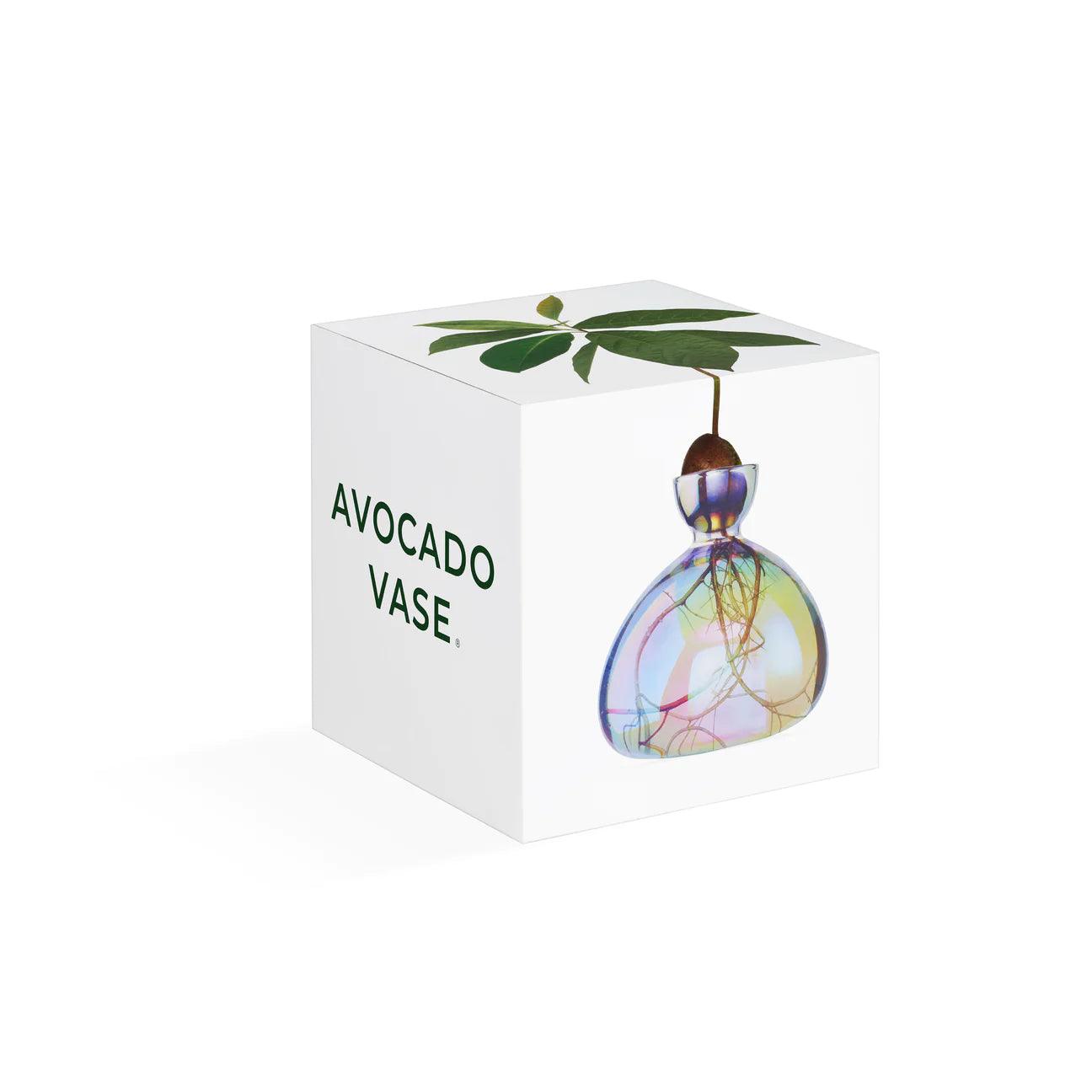 Cosmic Astra Avocado Vase - Gigglewick Gallery