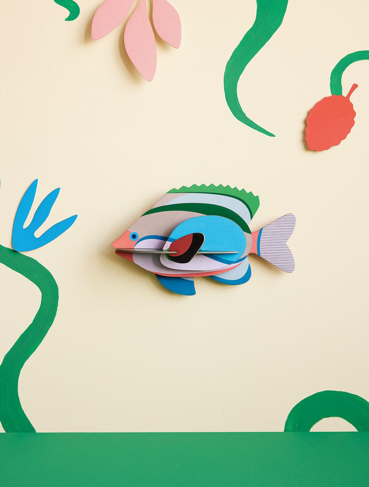 Fairy Wrasse - Gigglewick Gallery