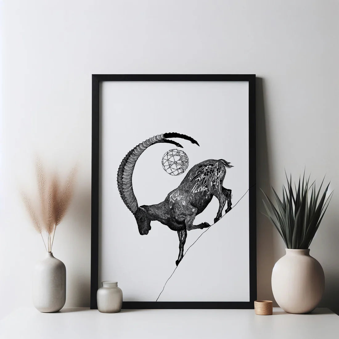 Alpine Ibex