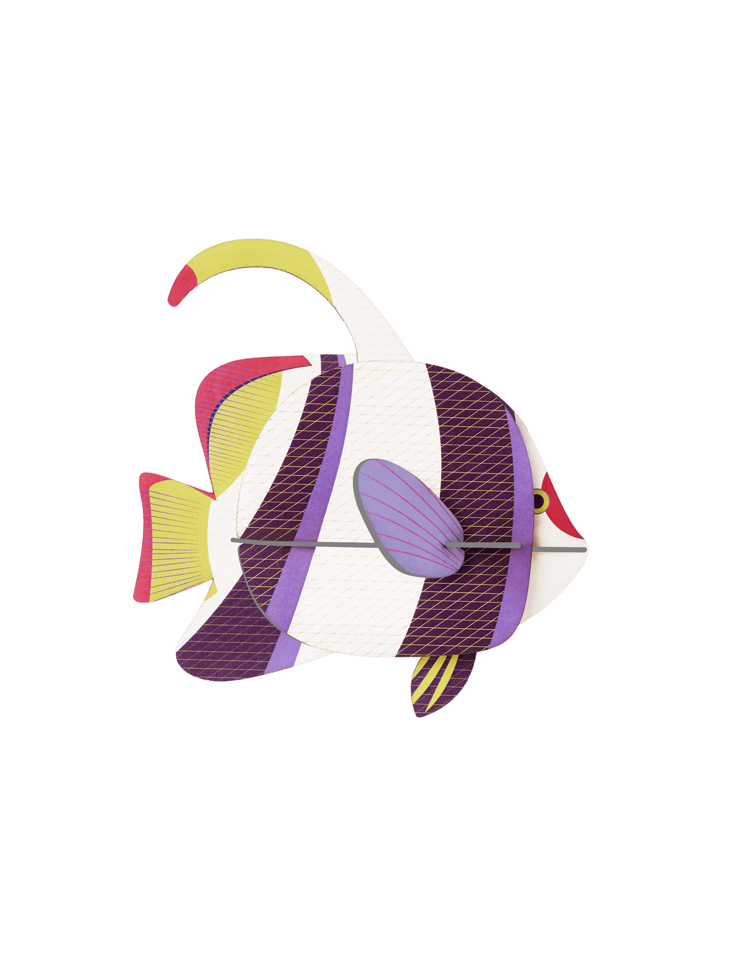 Marine Angel Fish