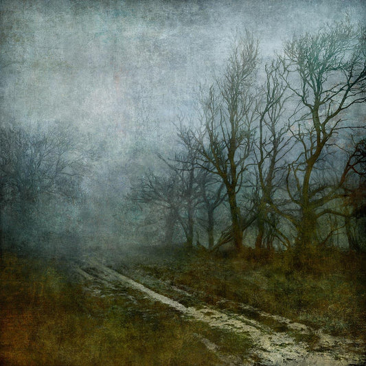 N50.8941 W0.0419 - Limited Edition - Gigglewick Gallery