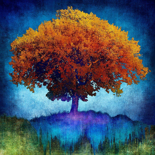 N50.9521 E0.0863 - Limited Edition - Gigglewick Gallery