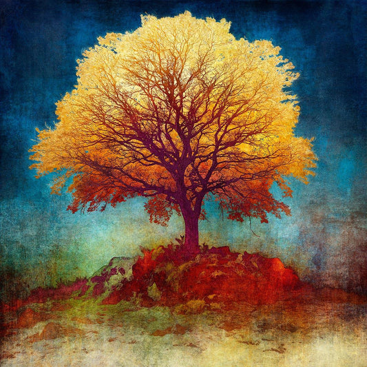 N50.9625 E0.0893 - Limited Edition - Gigglewick Gallery