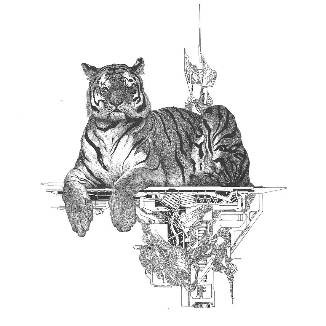 Tiger