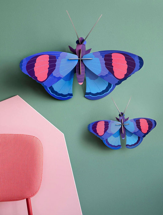 Deluxe Peacock Butterfly (Large and Medium) - Gigglewick Gallery
