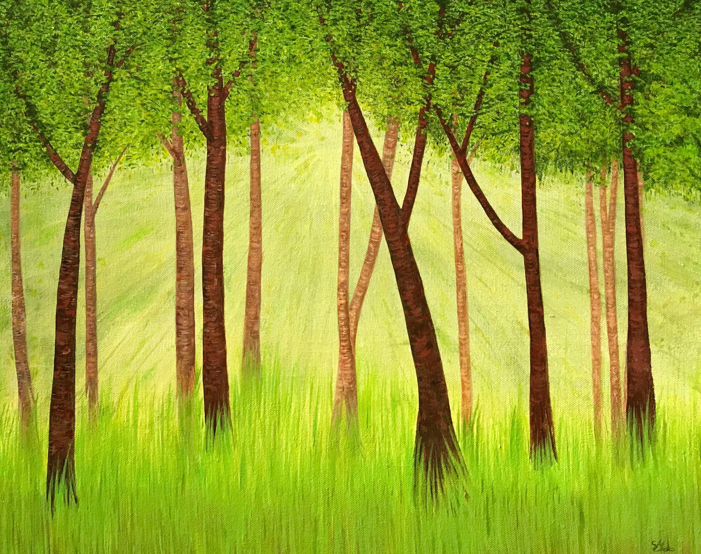 Morning in the Glade - Gigglewick Gallery