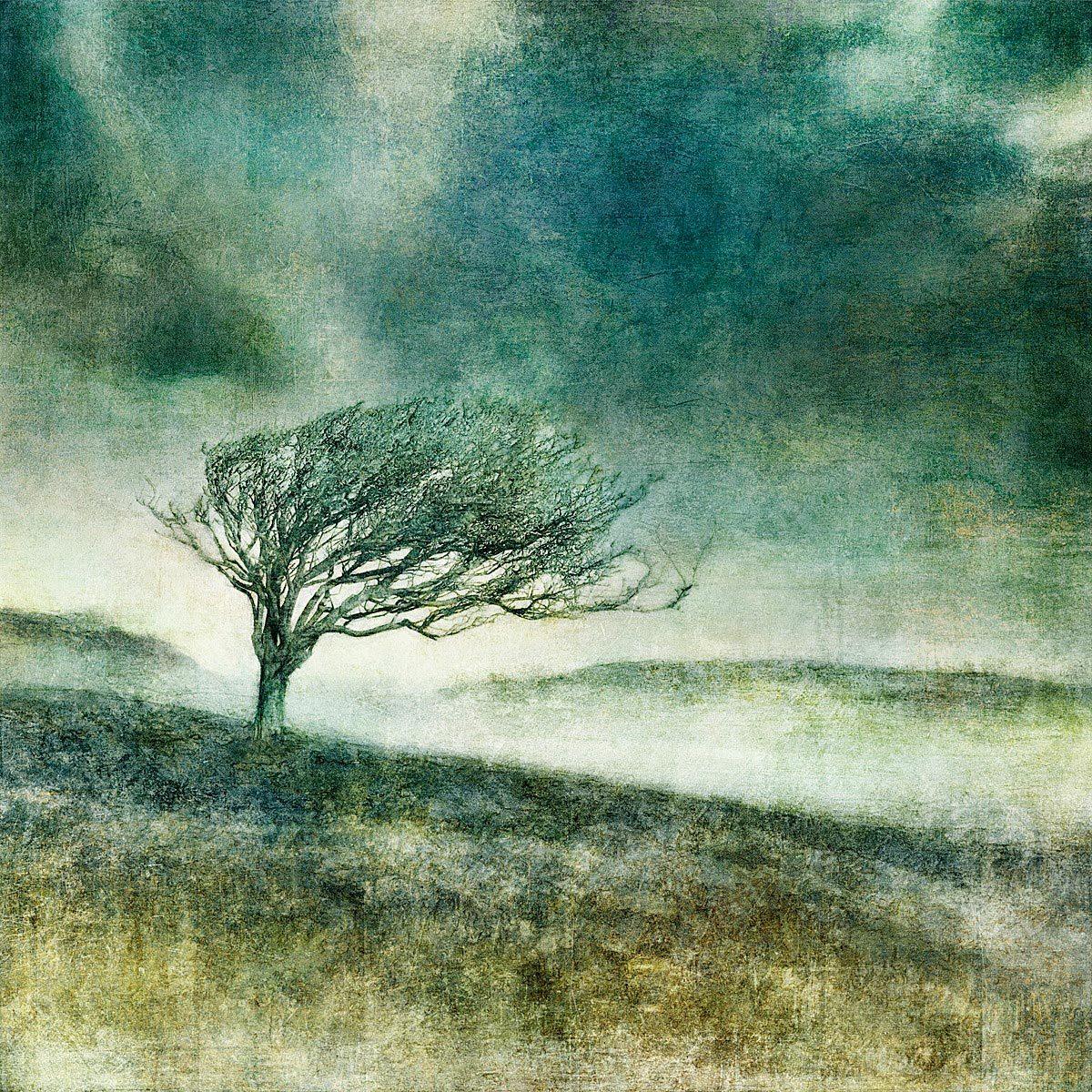 N50.8352 E0.0805 - Limited Edition - Gigglewick Gallery