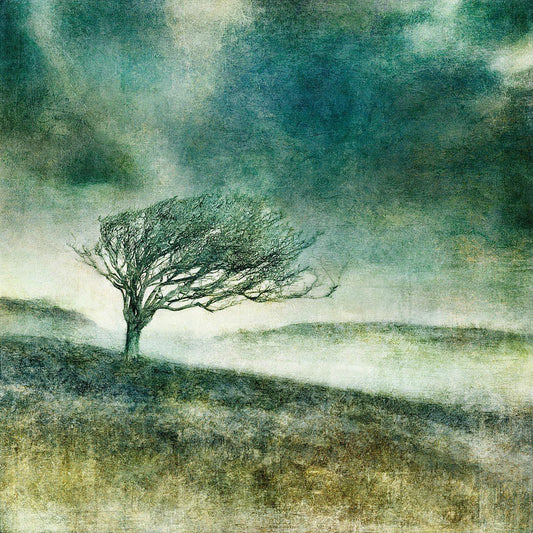 N50.8352 E0.0805 - Limited Edition - Gigglewick Gallery