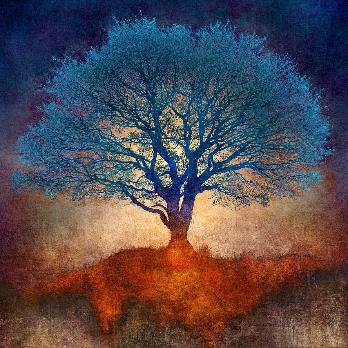 N50.9142 W0.0321 - Limited Edition - Gigglewick Gallery