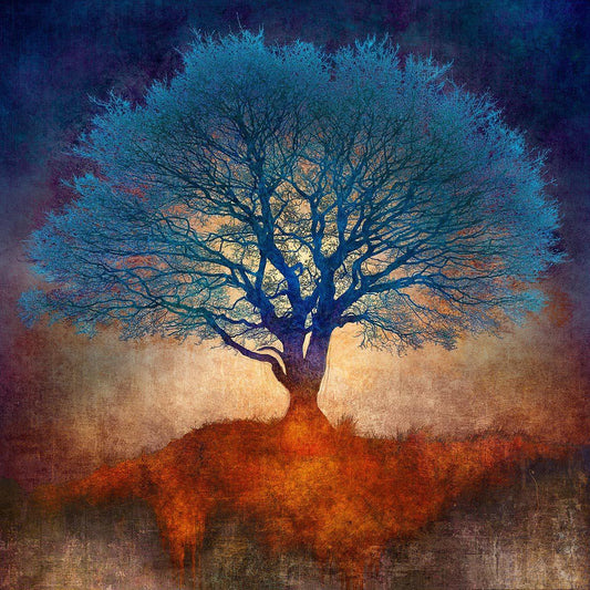 N50.9142 W0.0321 - Limited Edition - Gigglewick Gallery