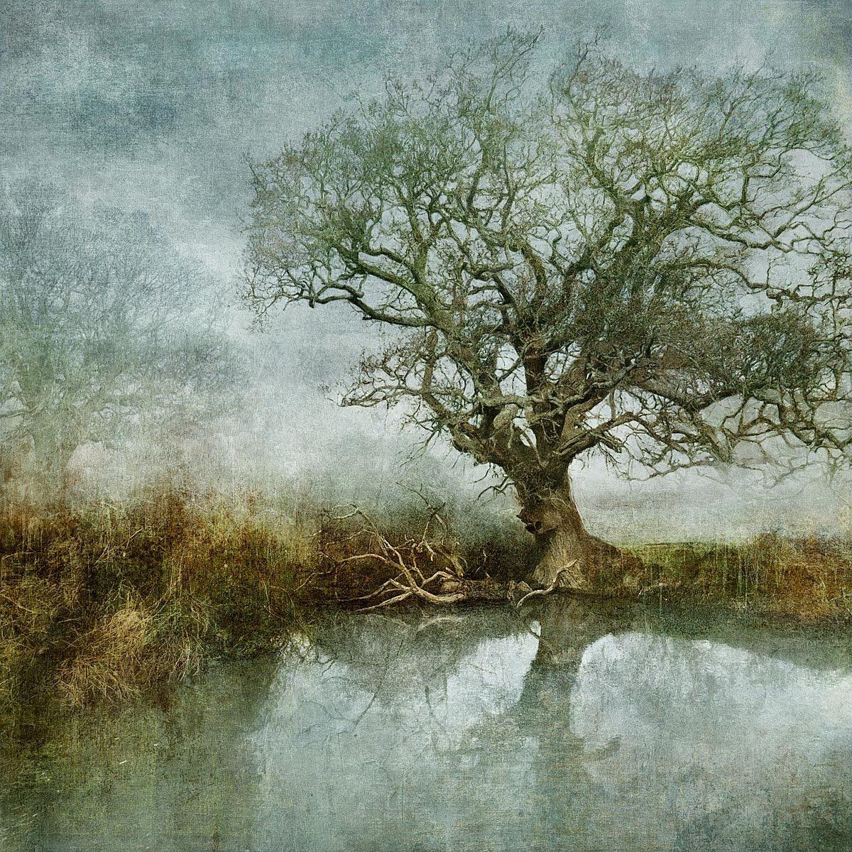 N50.9167 W0.0397 - Limited Edition - Gigglewick Gallery