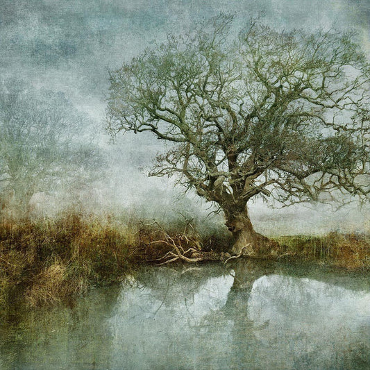 N50.9167 W0.0397 - Limited Edition - Gigglewick Gallery
