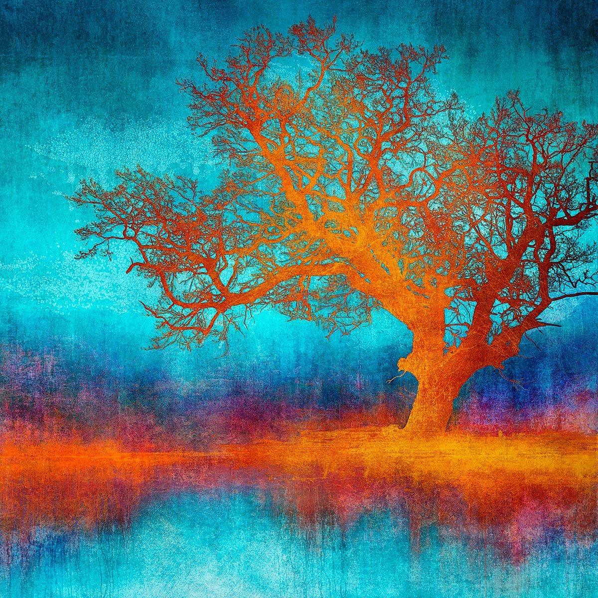 N50.9170 W0.0399 - Limited Edition - Gigglewick Gallery