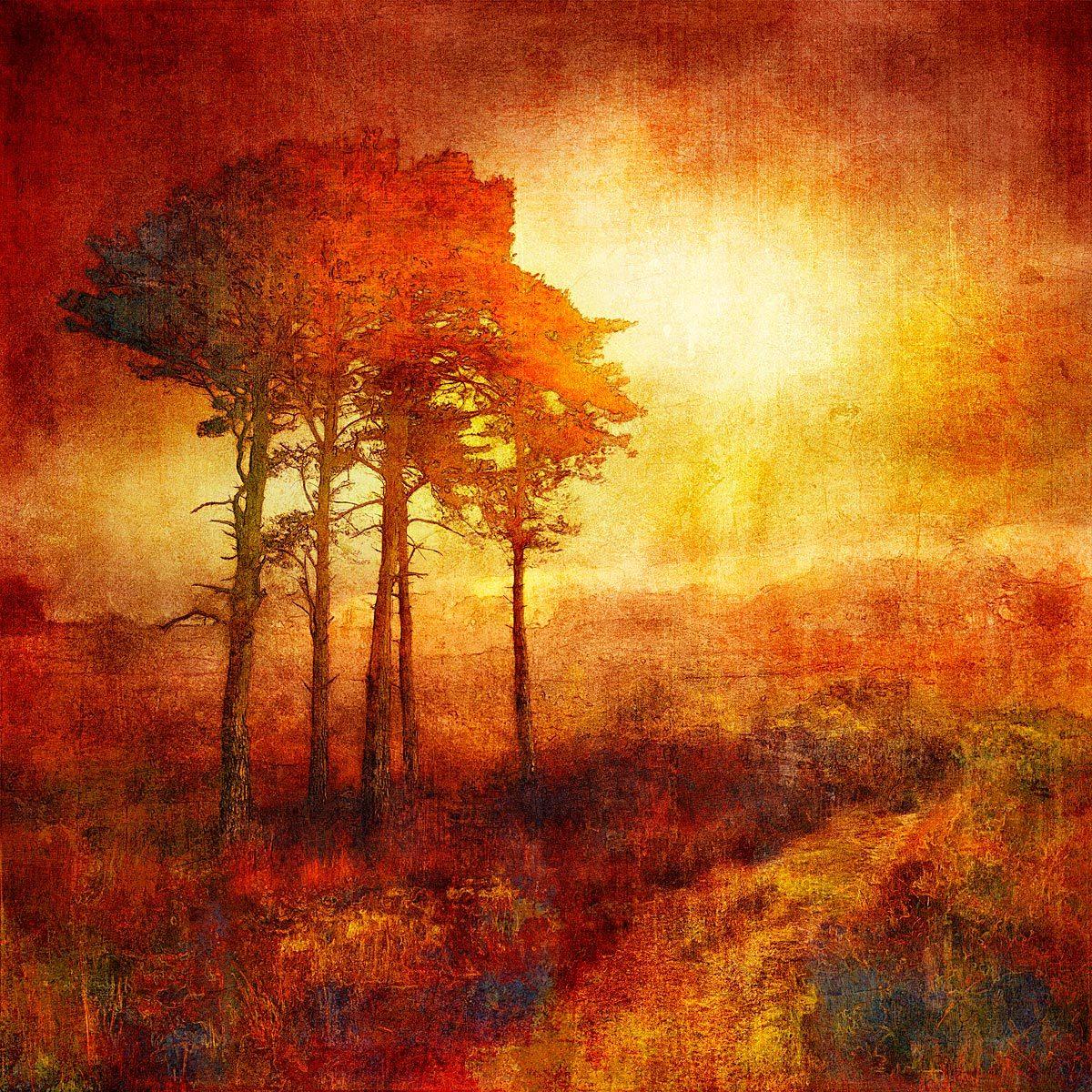 N51.0526 E0.0904 - Limited Edition - Gigglewick Gallery