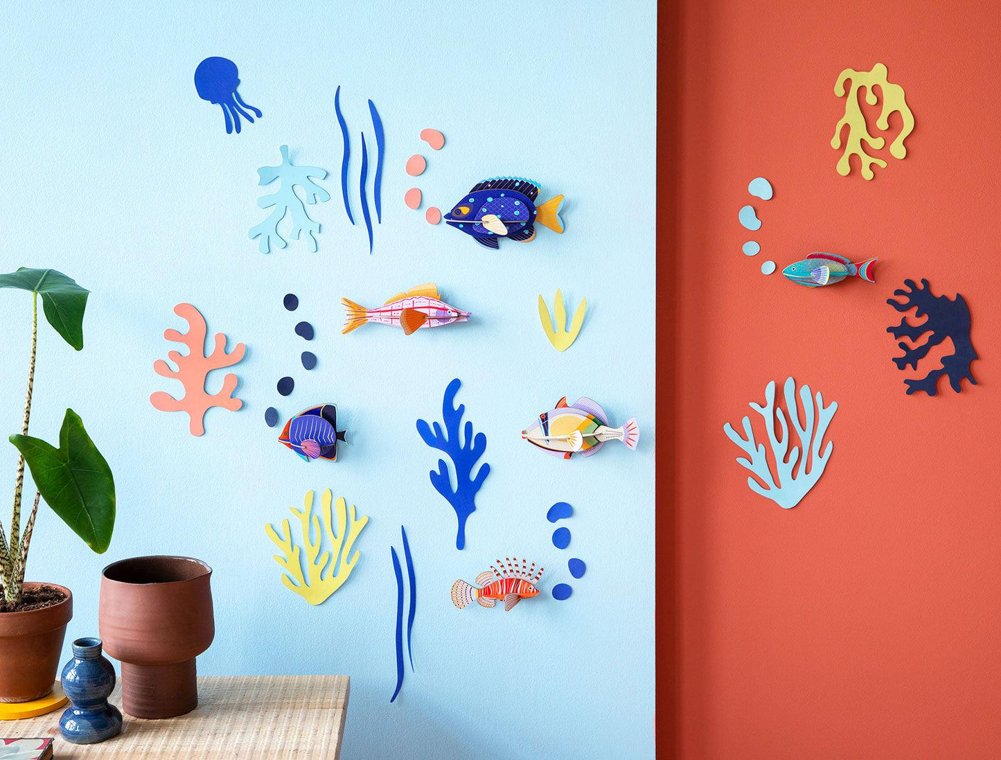 Ocean Curiosities - Gigglewick Gallery