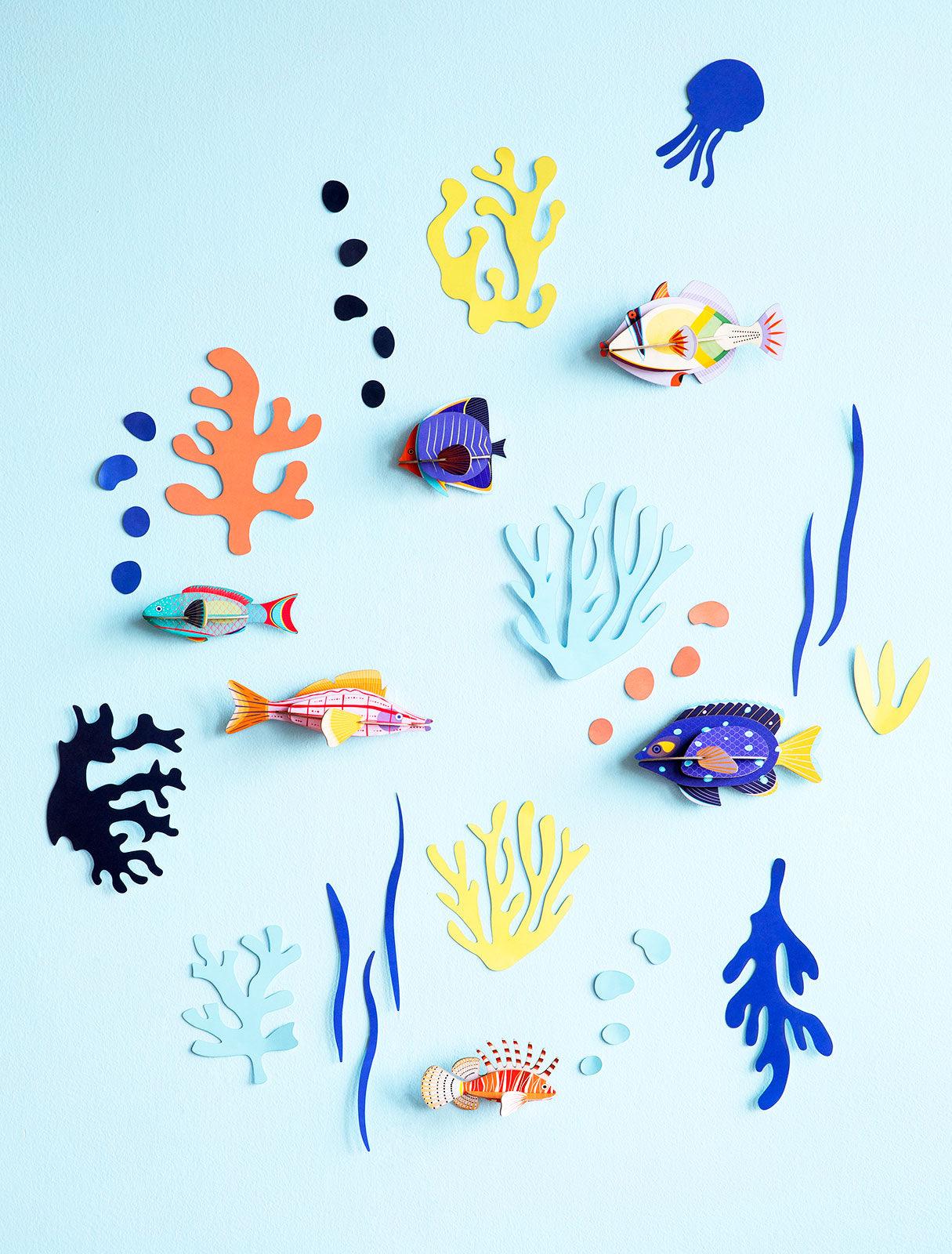 Ocean Curiosities - Gigglewick Gallery