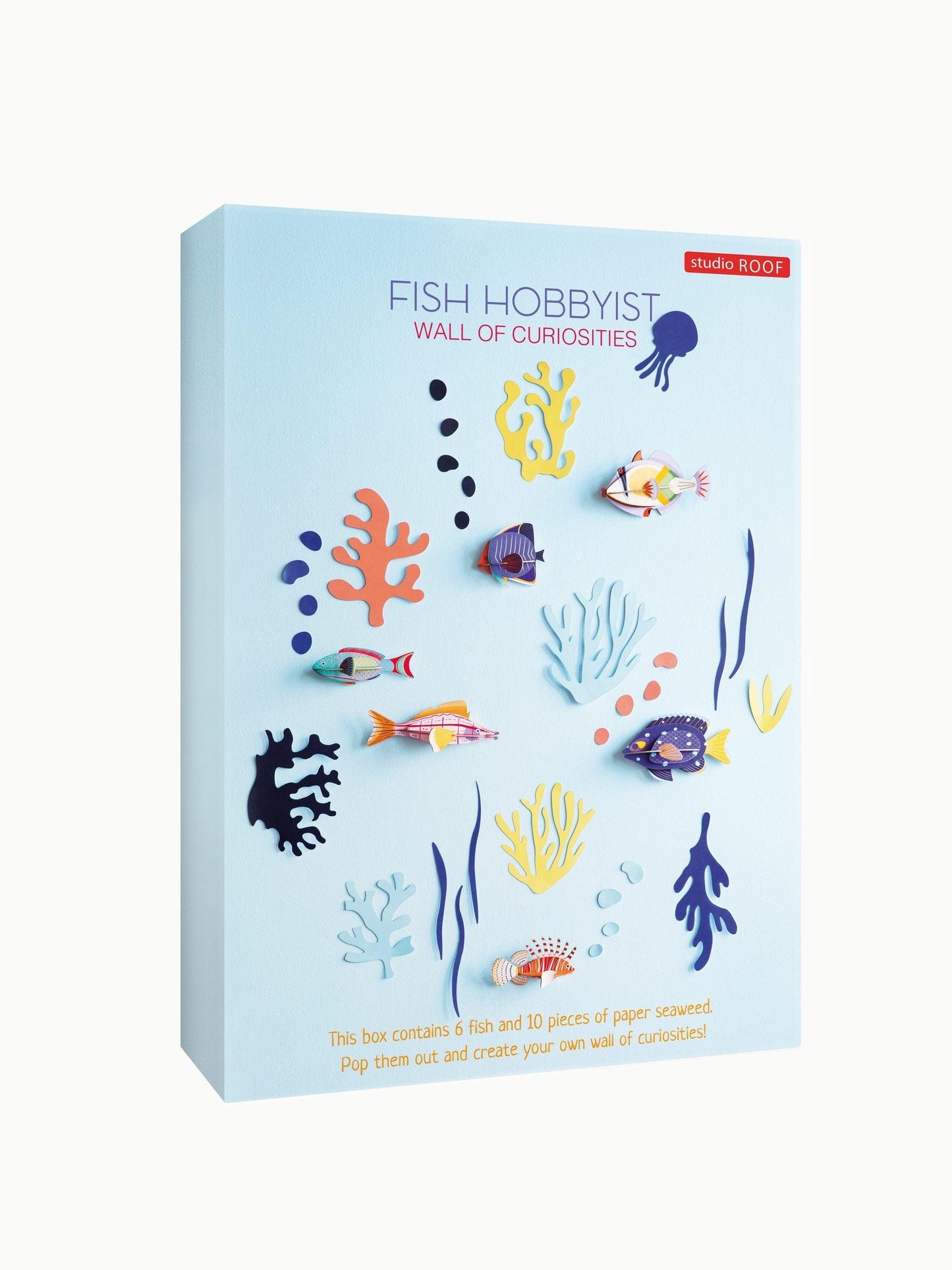 Ocean Curiosities - Gigglewick Gallery