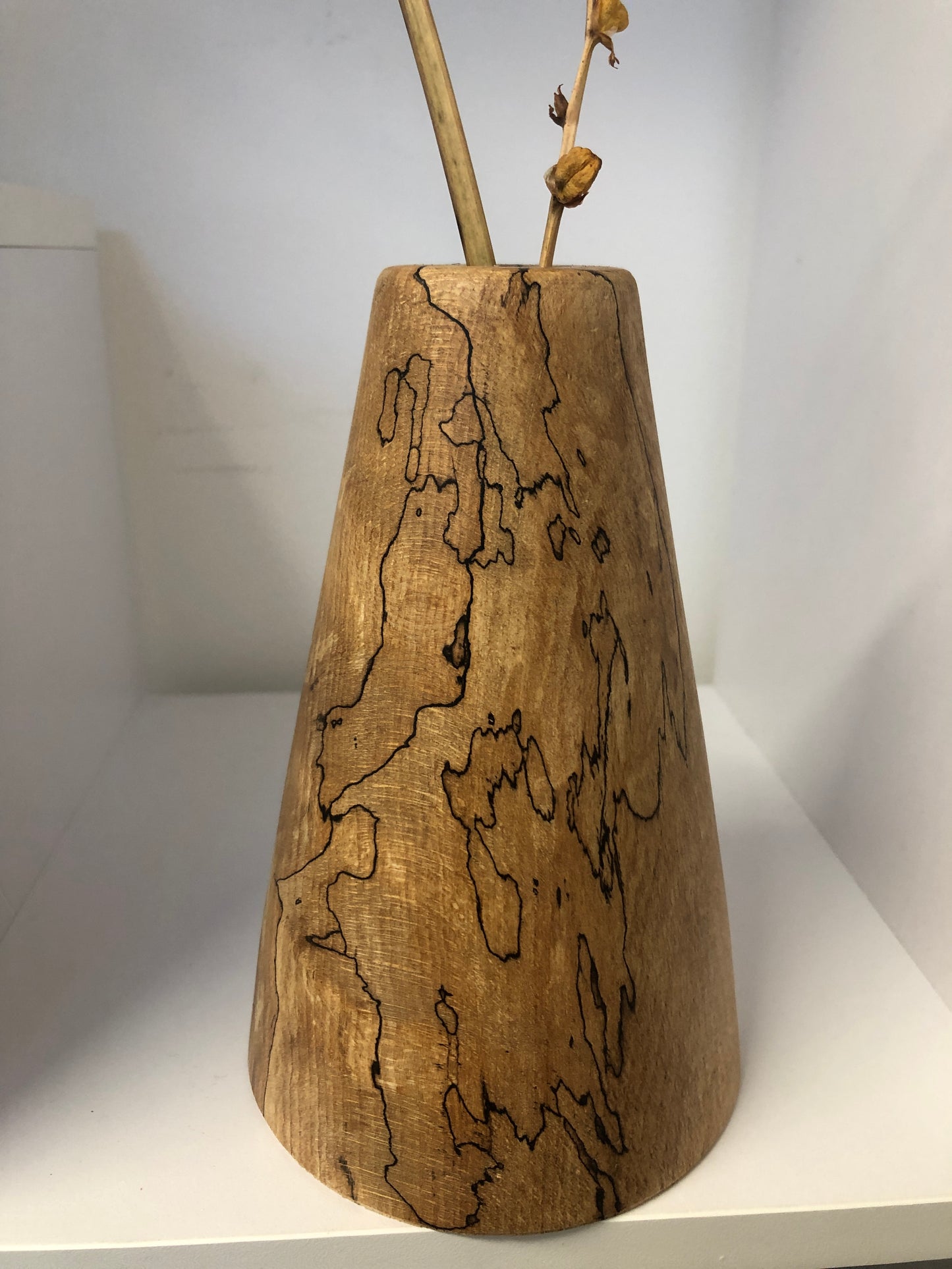 Spalted Beech Dried Bud Vase