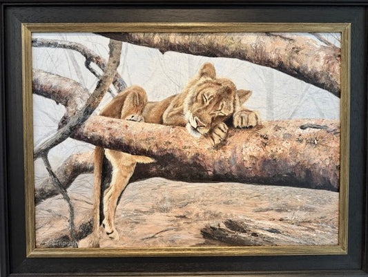 Are You Sleeping Comfortably?