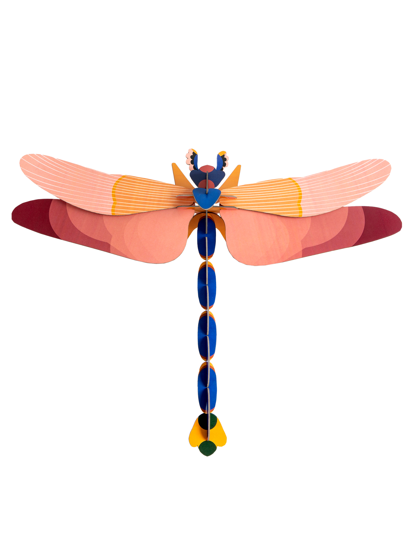 Giant Pink Dragonfly