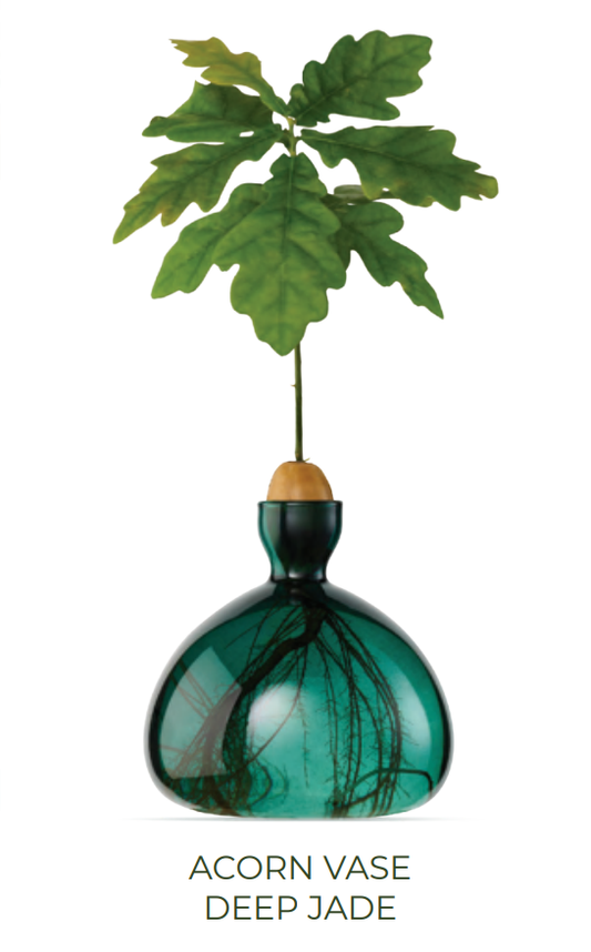 NEW - Acorn Vase - Deep Jade (image not to scale)