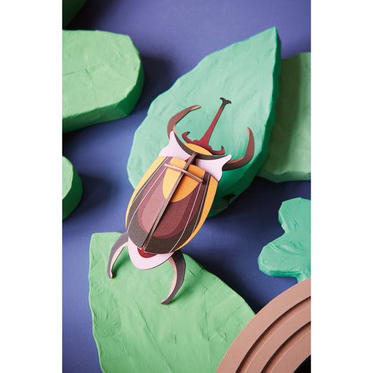 Elephant Beetle