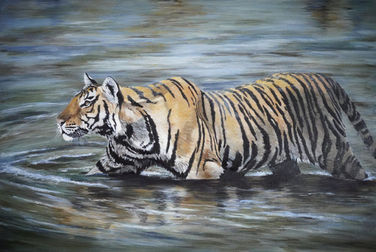 Kanha Lido
