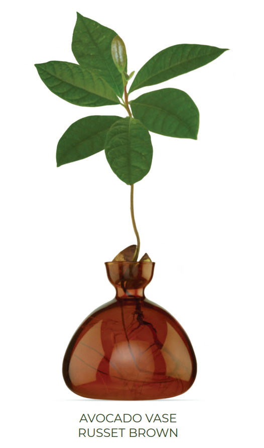 Avocado Vase - Russet Brown