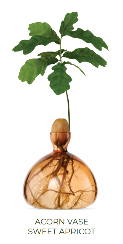 NEW - Acorn Vase - Sweet Apricot (image not to scale)