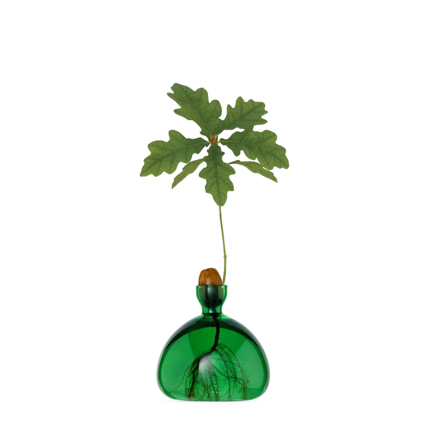 Acorn Vase - Emerald Green - Gigglewick Gallery