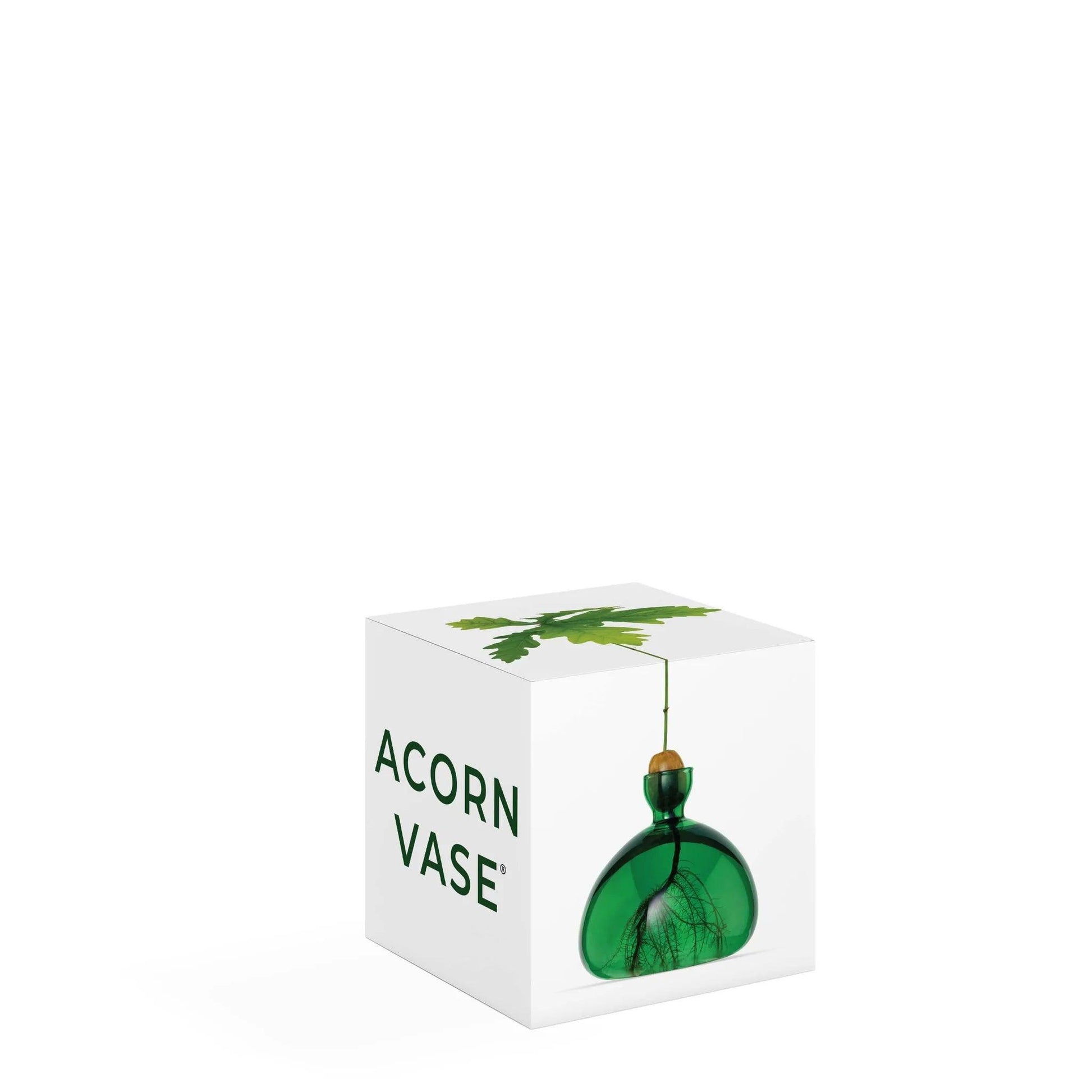 Acorn Vase - Emerald Green - Gigglewick Gallery