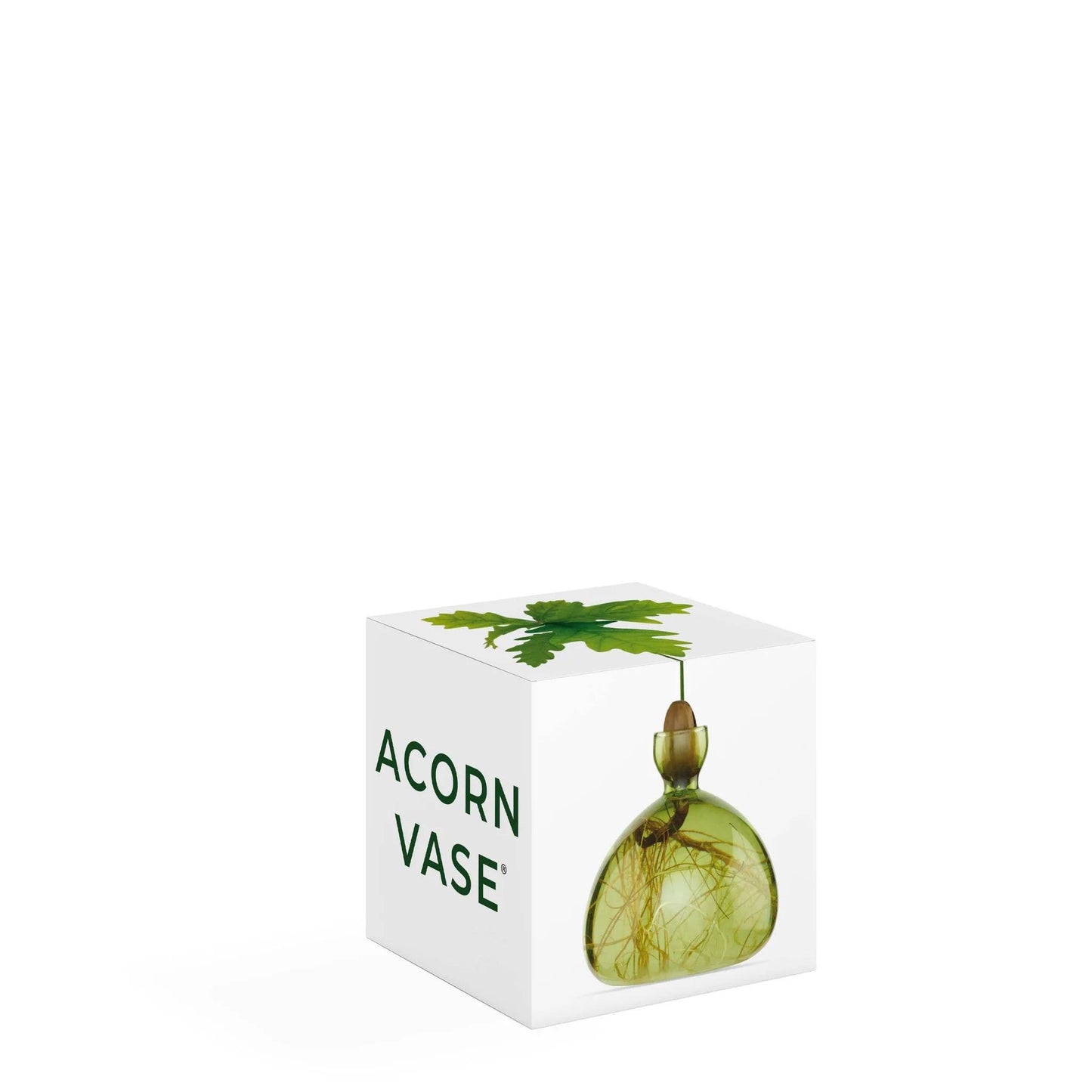 Acorn Vase - Grass Green - Gigglewick Gallery