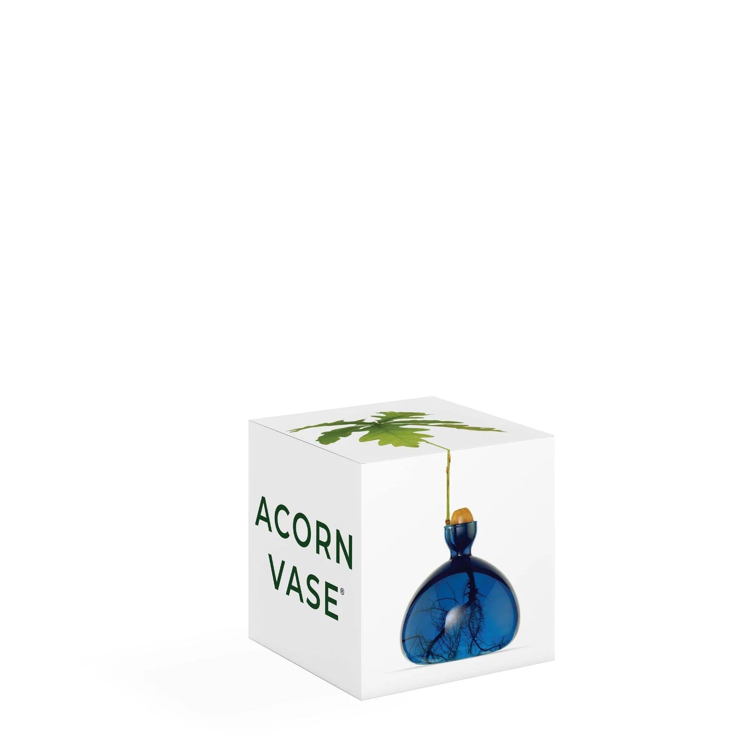 Acorn Vase - Lapis Blue - Gigglewick Gallery