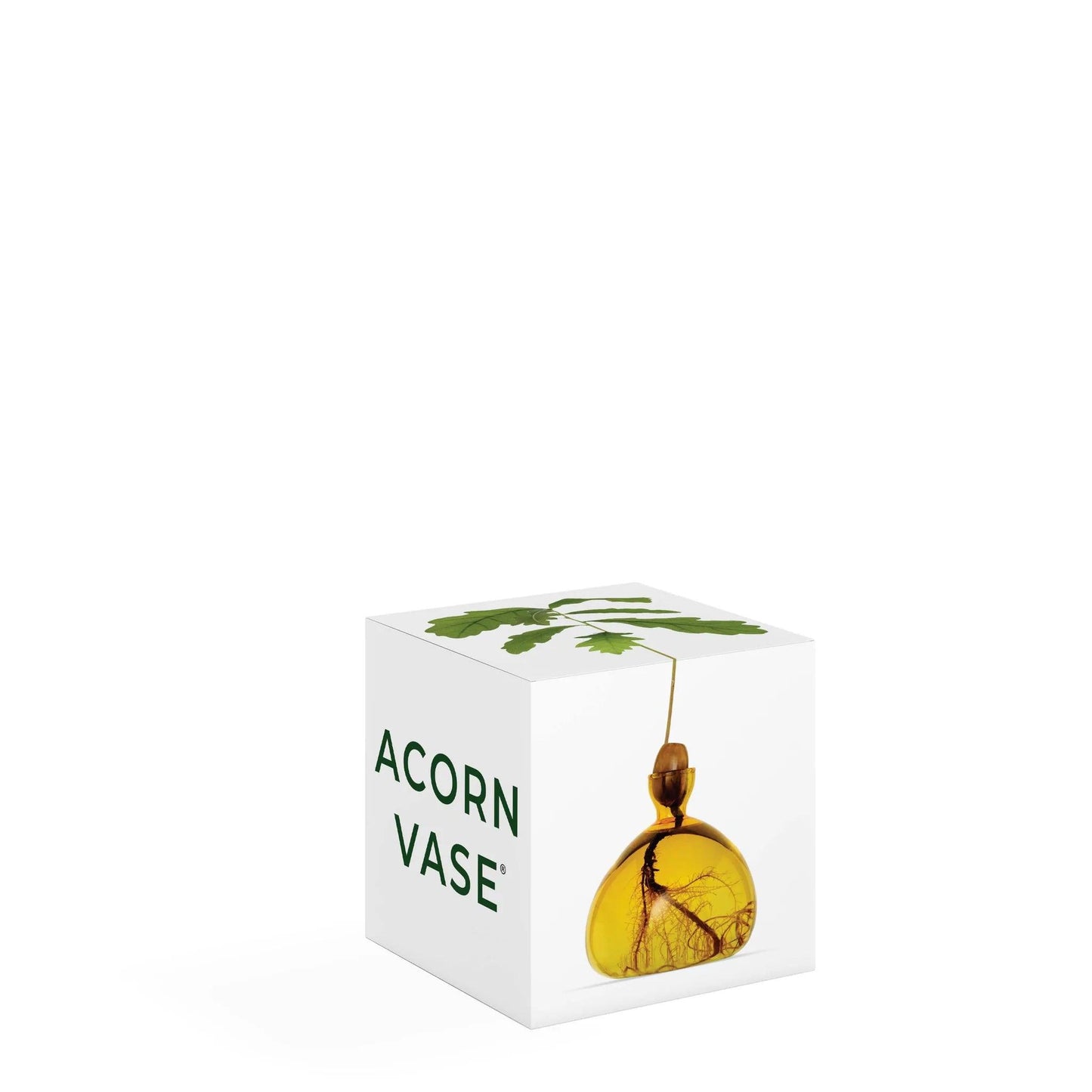 Acorn Vase - Mellow Yellow - Gigglewick Gallery