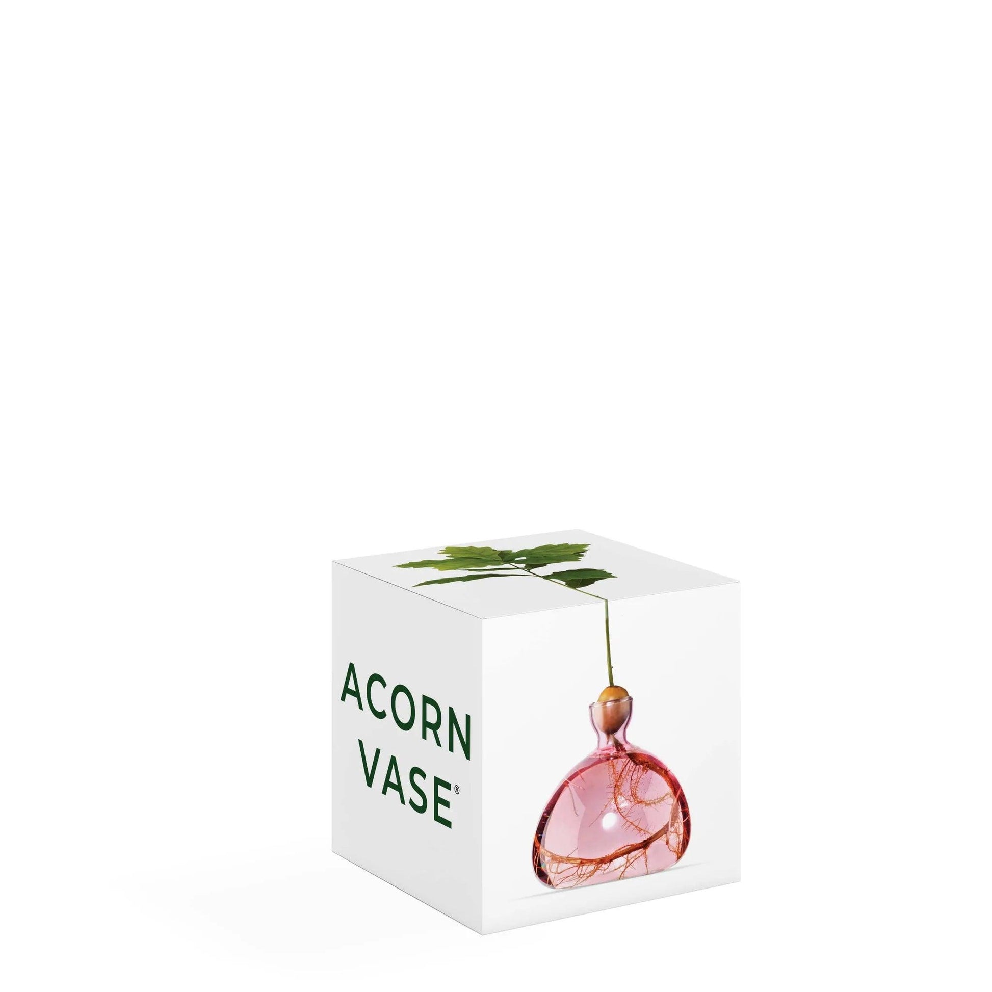 Acorn Vase - Rose Pink - Gigglewick Gallery